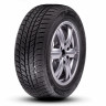 205/50R16 RoadX RX FROST WH01 87H ЗИМ